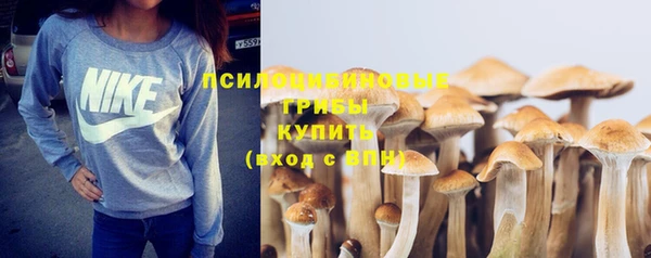 MDMA Premium VHQ Горнозаводск
