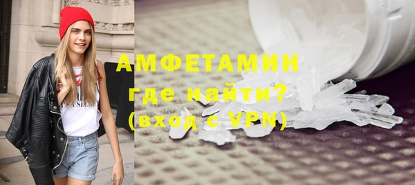 сатива Горняк