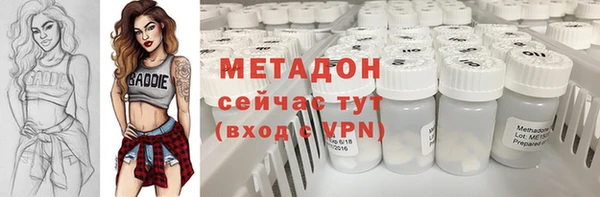 сатива Горняк