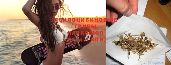 сатива Горняк