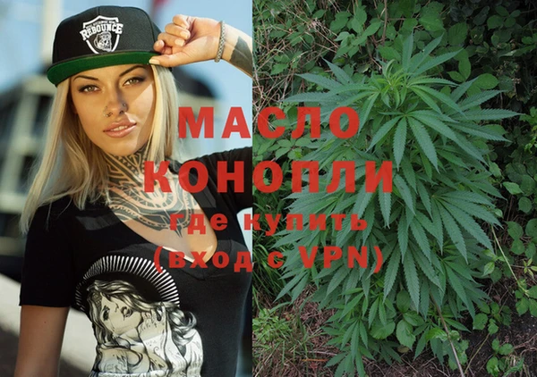 сатива Горняк