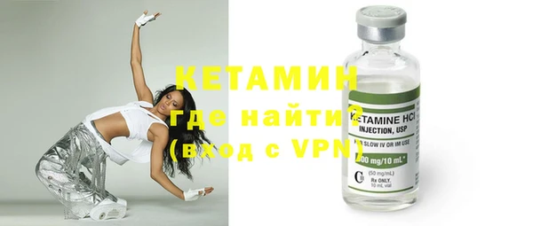 сатива Горняк