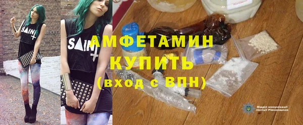 сатива Горняк