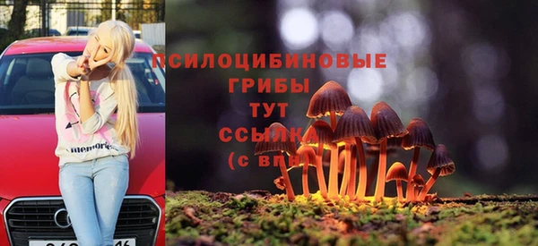 альфа пвп Горно-Алтайск