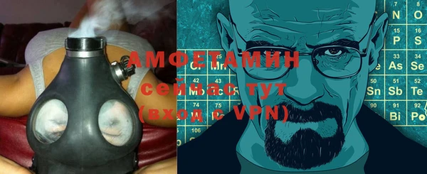 сатива Горняк