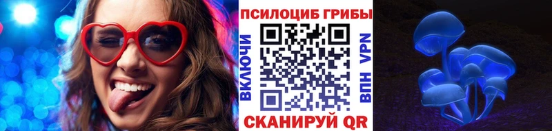 где купить   Керчь  Галлюциногенные грибы Psilocybe 